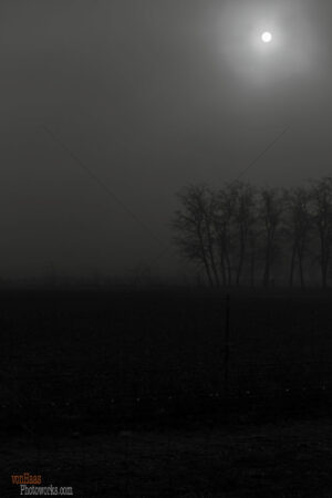 The World In Black And White 6" x 4" Photo Print