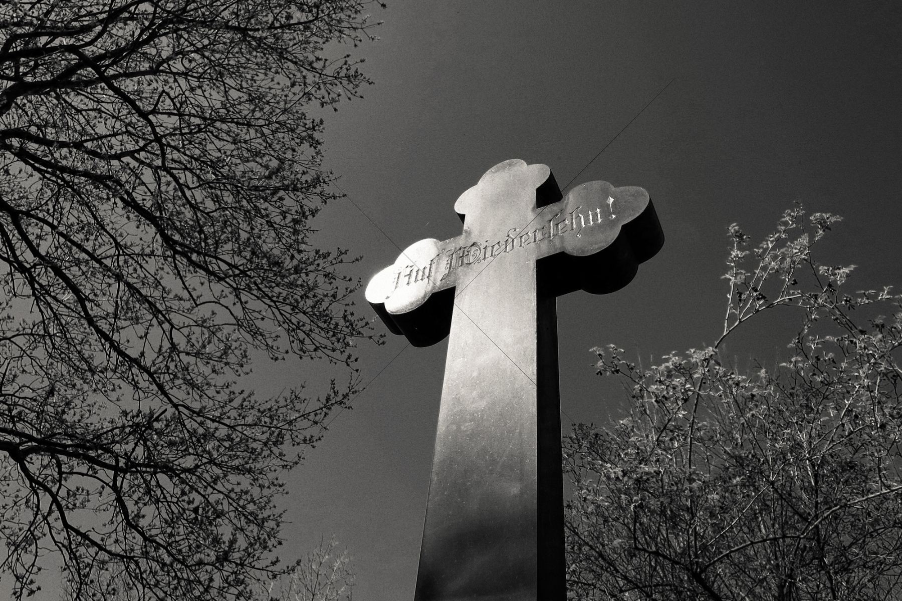 The World In Black And White 6" x 4" Photo Print