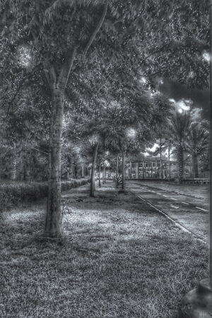 The World In Black And White 6" x 4" Photo Print