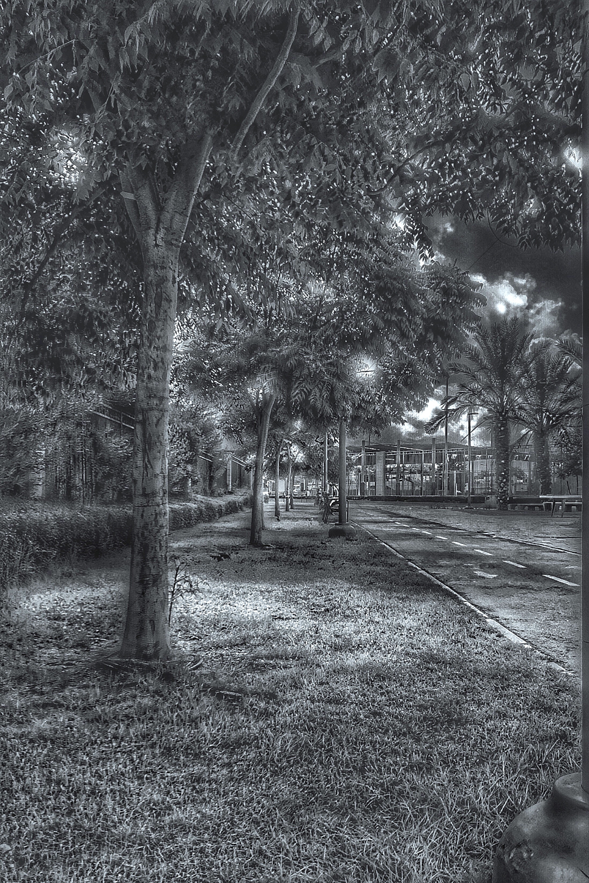 The World In Black And White 6" x 4" Photo Print