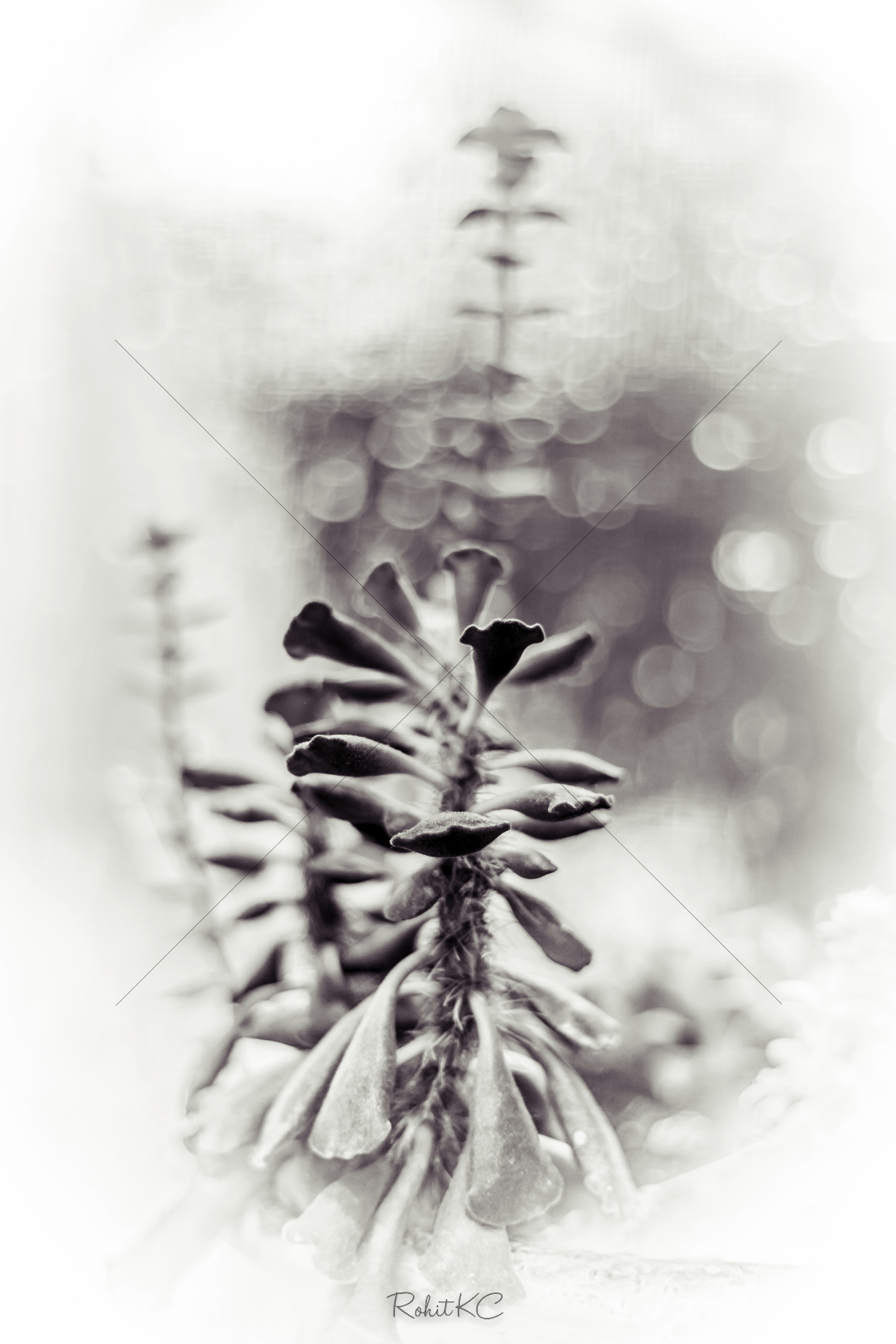 The World In Black And White 6" x 4" Photo Print