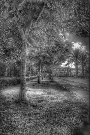 The World In Black And White 6" x 4" Photo Print