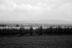 The World In Black And White 6" x 4" Photo Print