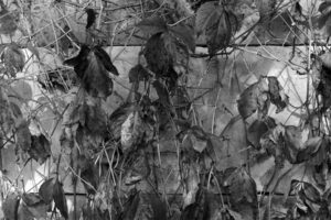 The World In Black And White 6" x 4" Photo Print