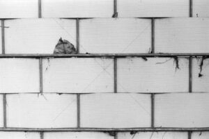 The World In Black And White 6" x 4" Photo Print