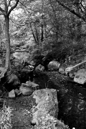 The World In Black And White 6" x 4" Photo Print