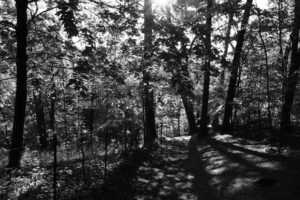 The World In Black And White 6" x 4" Photo Print