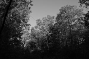The World In Black And White 6" x 4" Photo Print