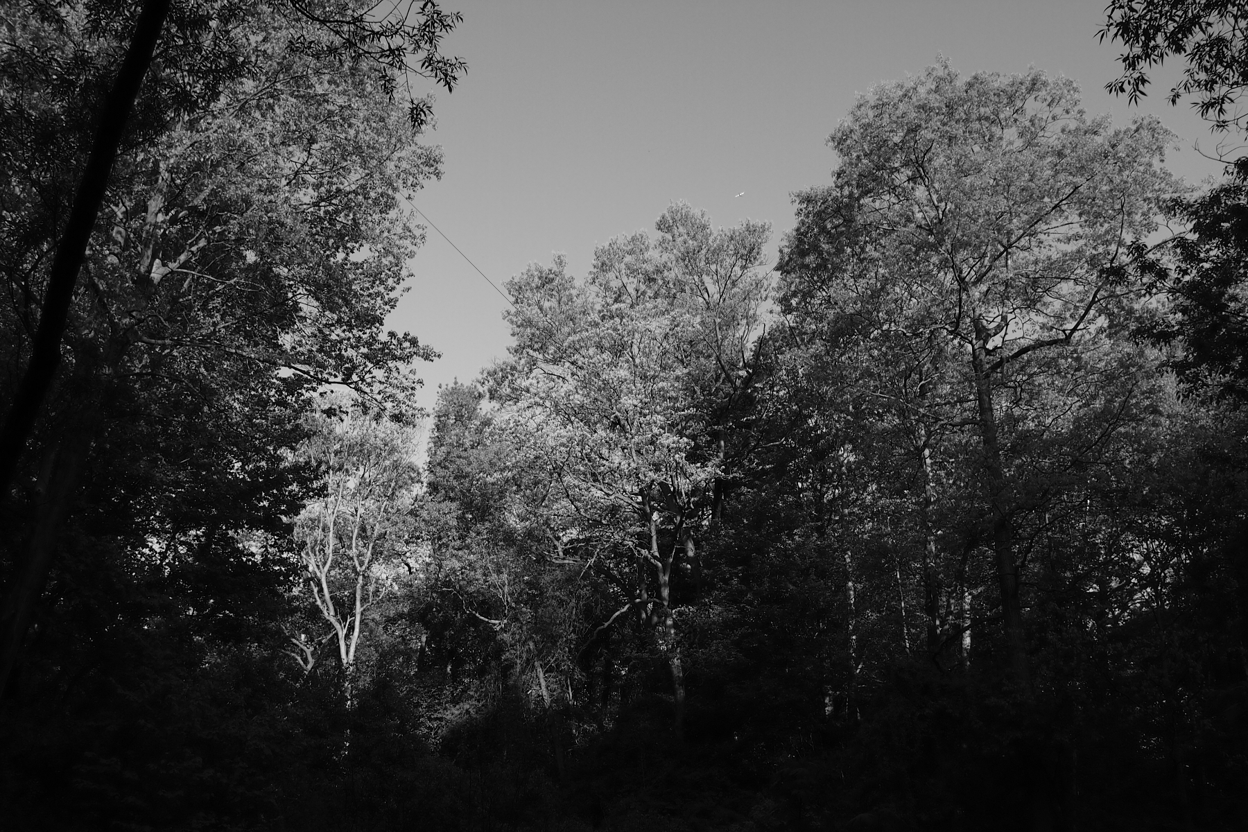 The World In Black And White 6" x 4" Photo Print