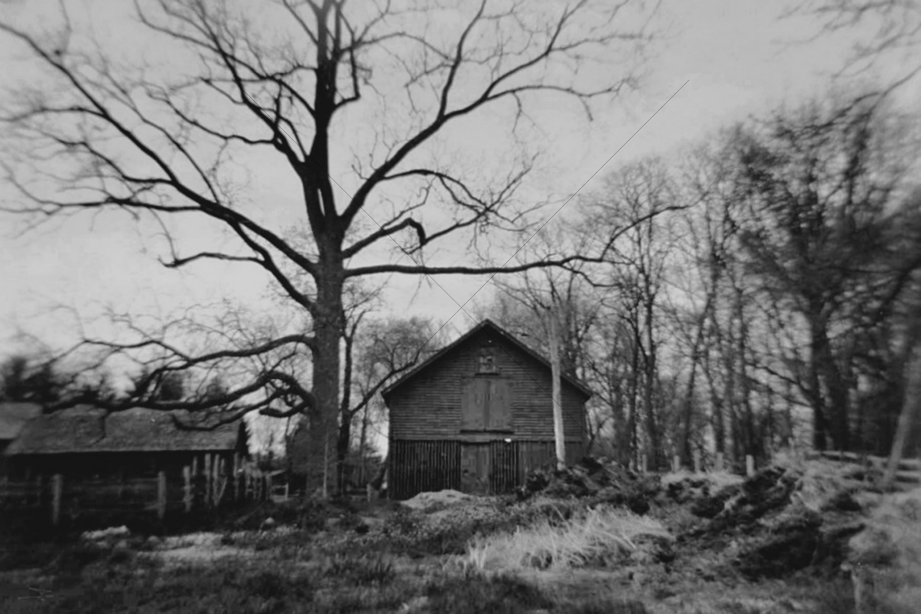 The World In Black And White 6" x 4" Photo Print