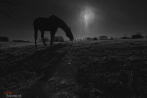 The World In Black And White 6" x 4" Photo Print