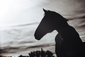 The World In Black And White 6" x 4" Photo Print