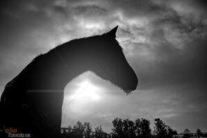 The World In Black And White 6" x 4" Photo Print