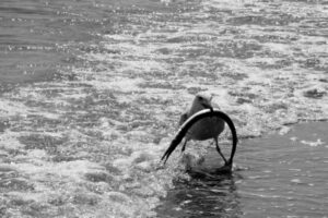 The World In Black And White 6" x 4" Photo Print