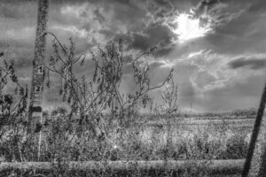 The World In Black And White 6" x 4" Photo Print