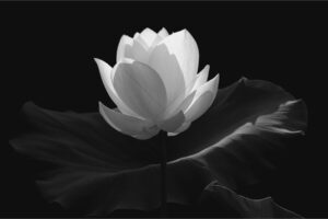 The World In Black And White 6" x 4" Photo Print