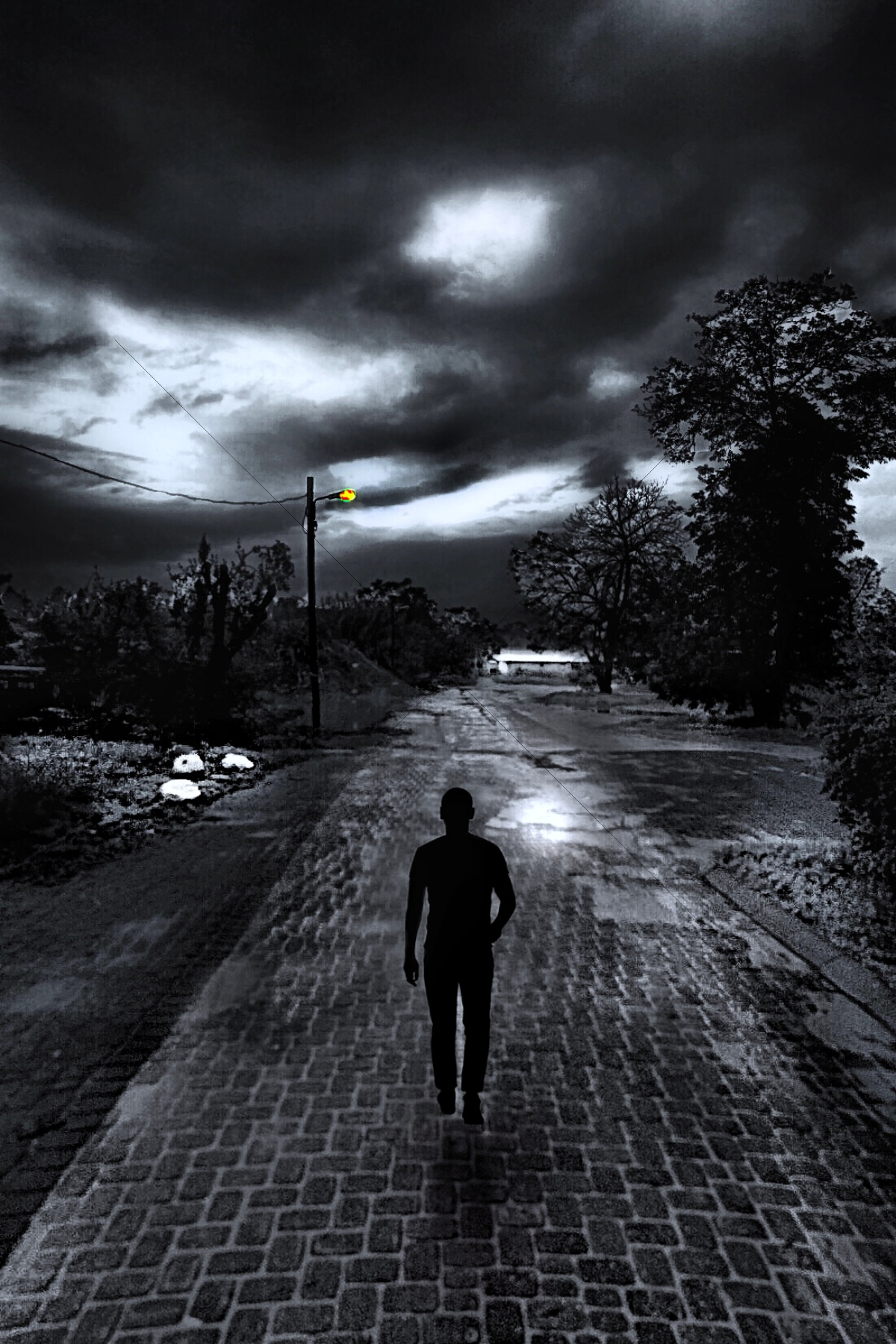 The World In Black And White 6" x 4" Photo Print