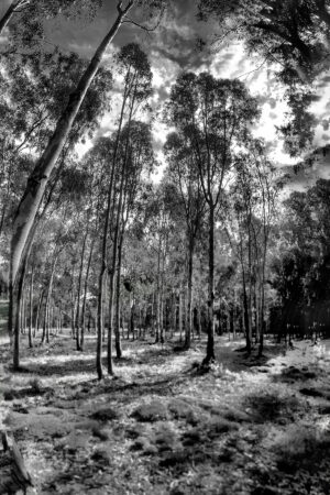 The World In Black And White 6" x 4" Photo Print