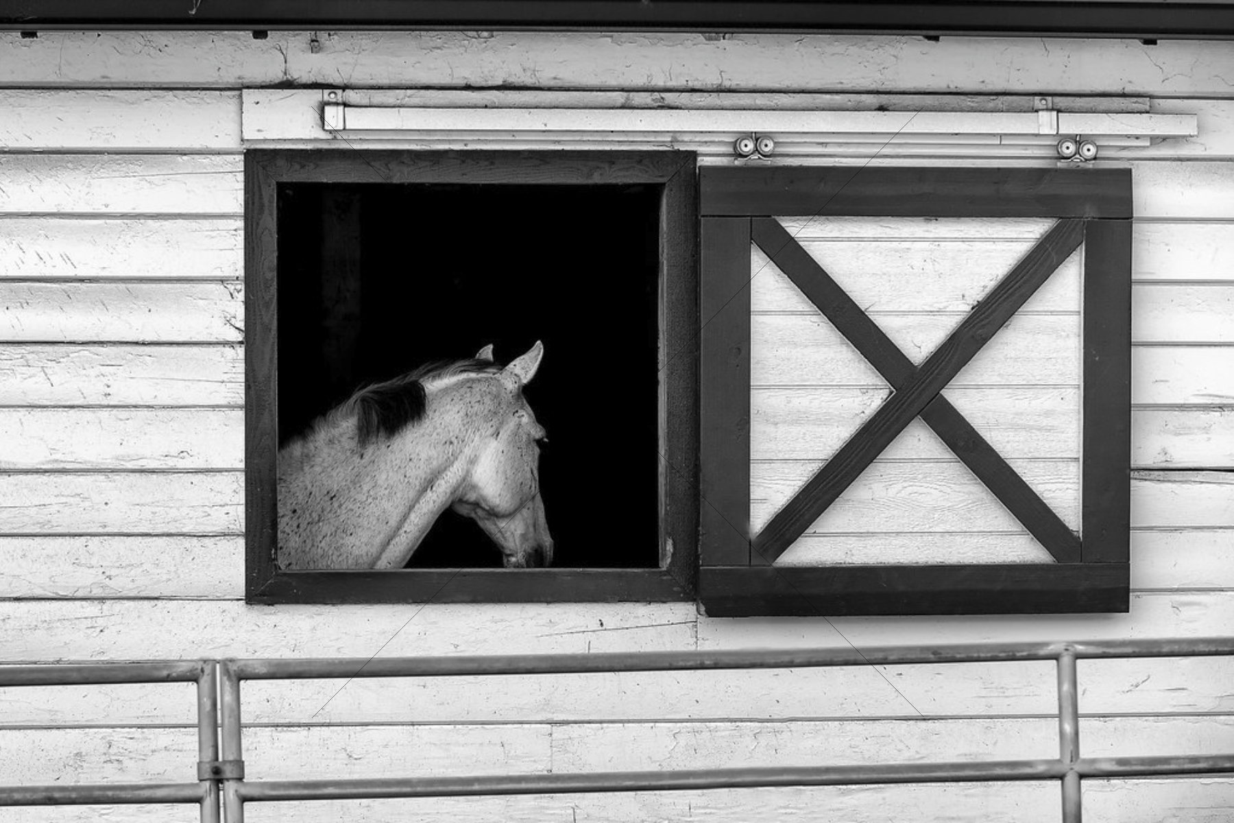 The World In Black And White 6" x 4" Photo Print