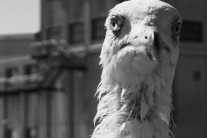 The World In Black And White 6" x 4" Photo Print