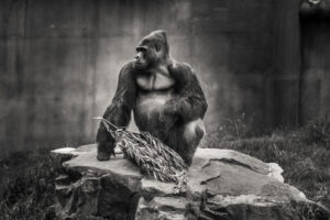 The World In Black And White 6" x 4" Photo Print