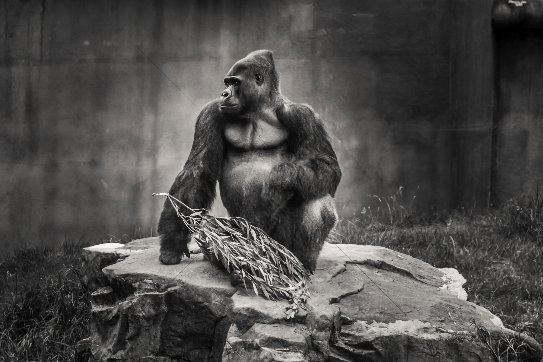 The World In Black And White 6" x 4" Photo Print