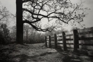 The World In Black And White 6" x 4" Photo Print