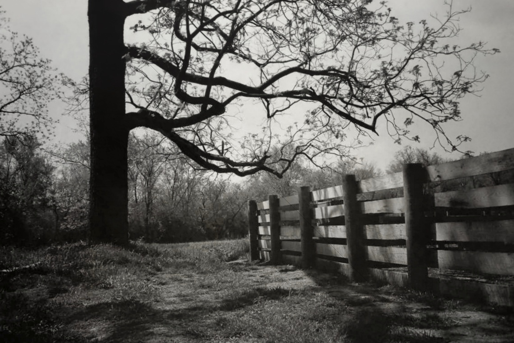 The World In Black And White 6" x 4" Photo Print