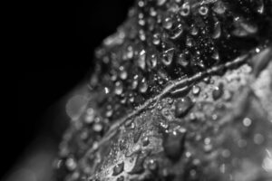 The World In Black And White 6" x 4" Photo Print