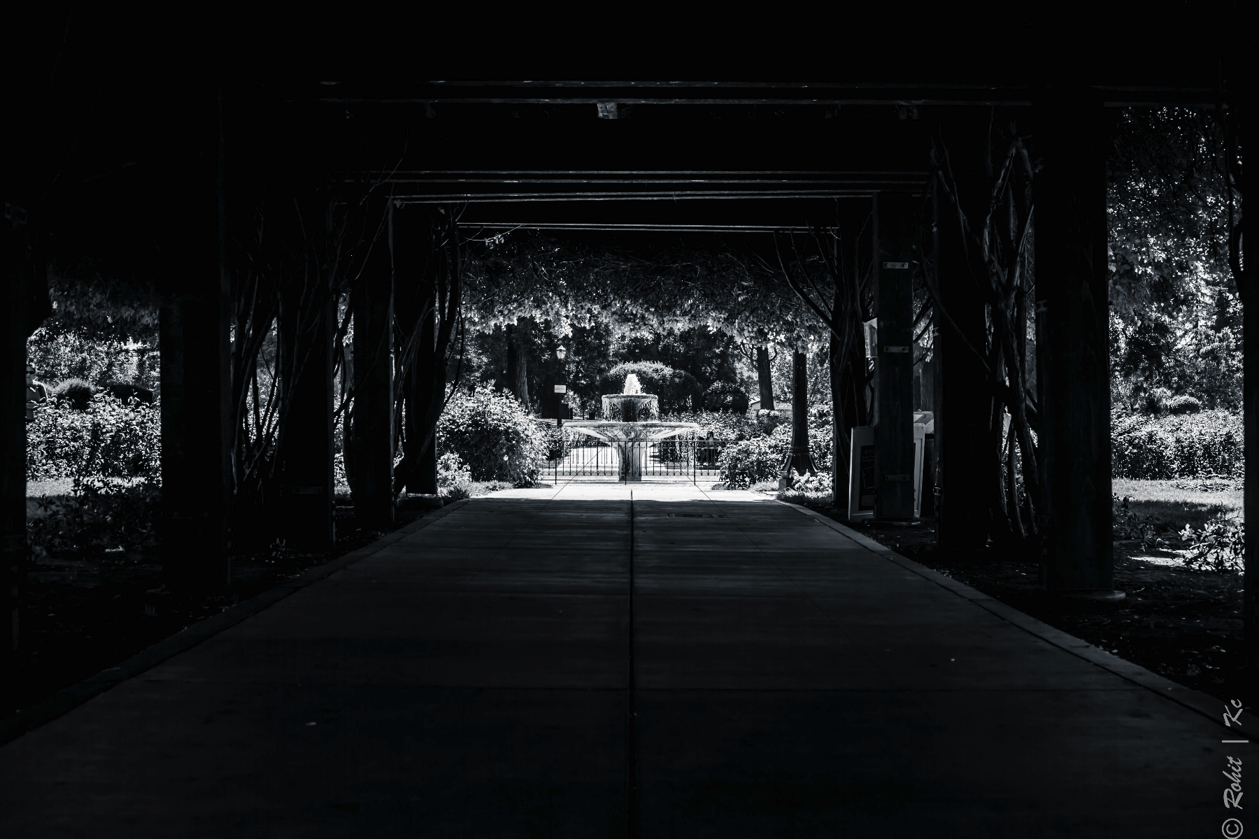 The World In Black And White 6" x 4" Photo Print