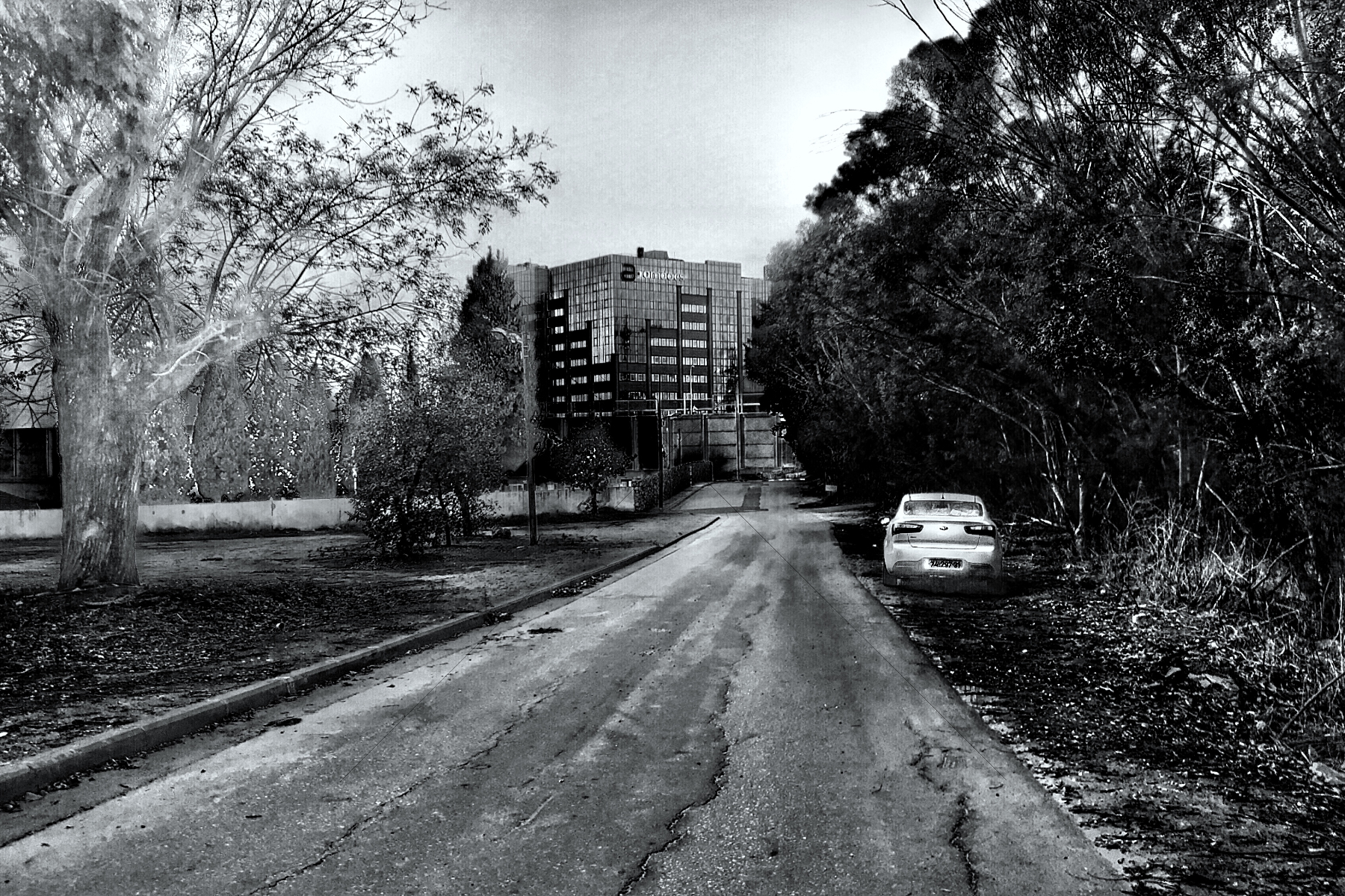 The World In Black And White 6" x 4" Photo Print