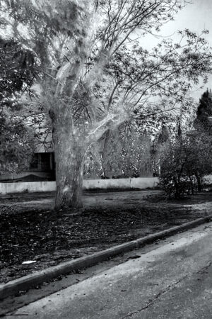 The World In Black And White 6" x 4" Photo Print