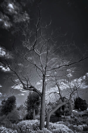 The World In Black And White 6" x 4" Photo Print