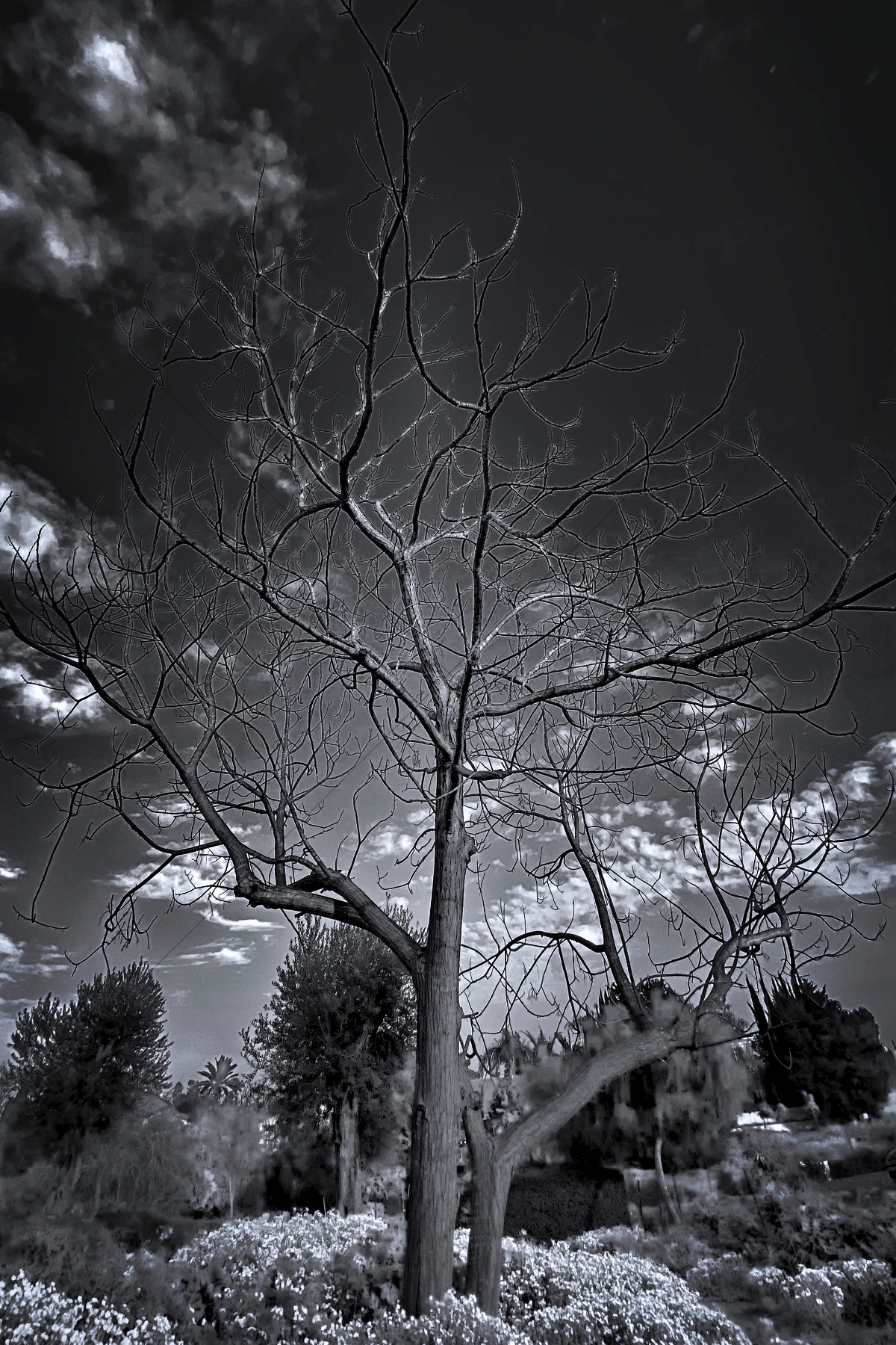 The World In Black And White 6" x 4" Photo Print