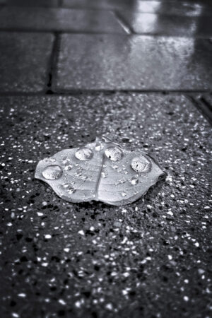 The World In Black And White 6" x 4" Photo Print