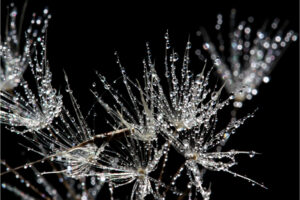 The World In Black And White 6" x 4" Photo Print