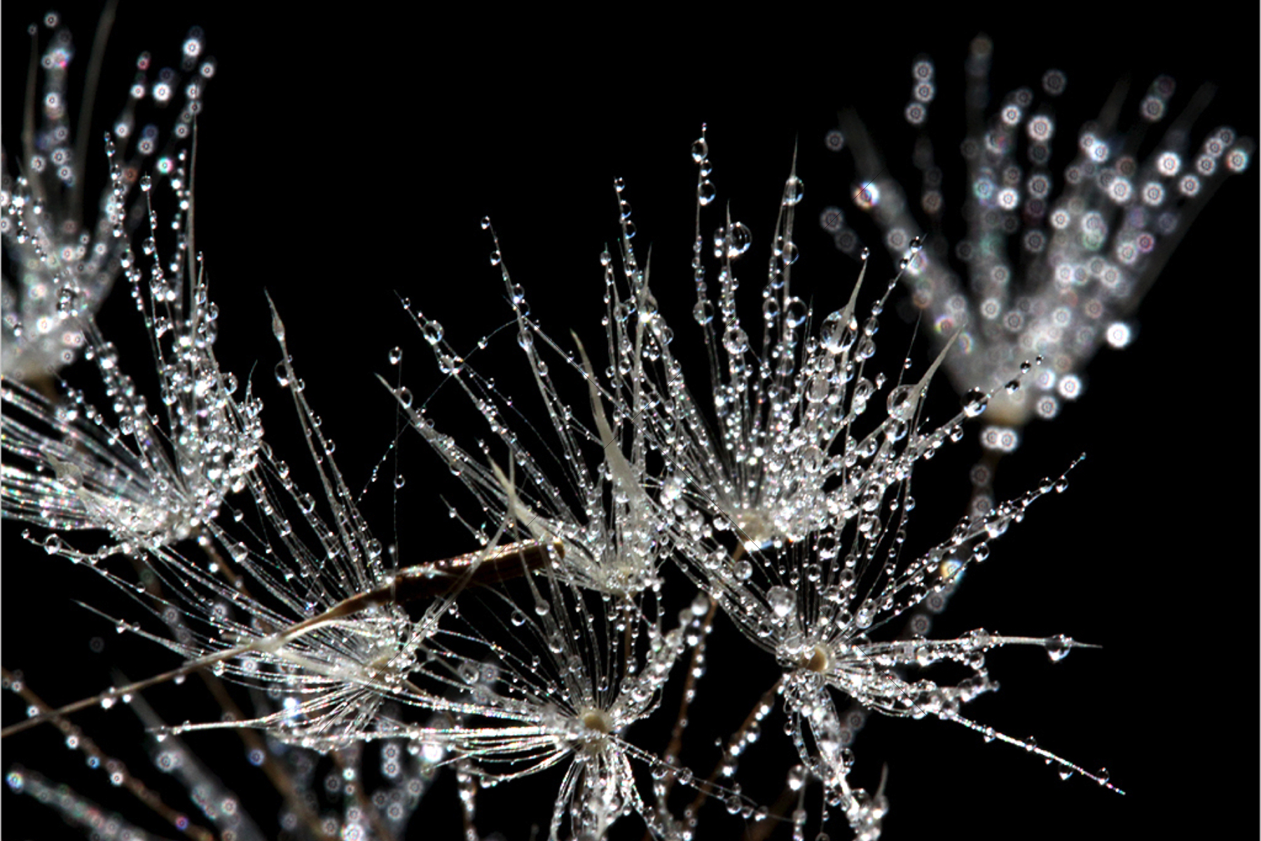 The World In Black And White 6" x 4" Photo Print