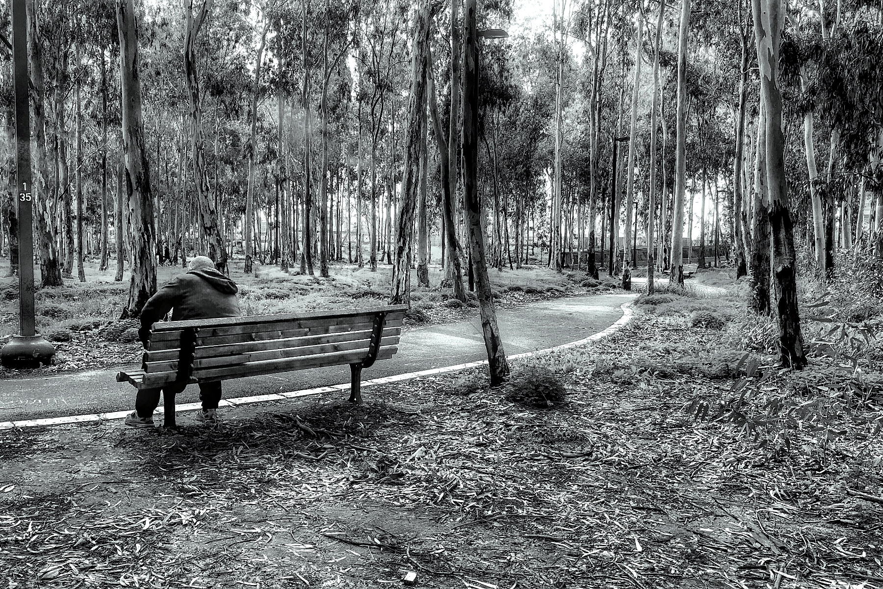 The World In Black And White 6" x 4" Photo Print