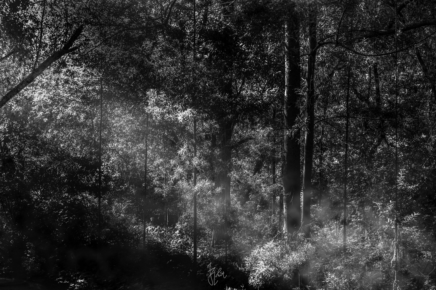 The World In Black And White 6" x 4" Photo Print