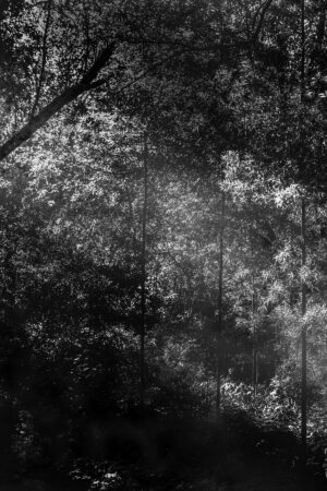 The World In Black And White 6" x 4" Photo Print