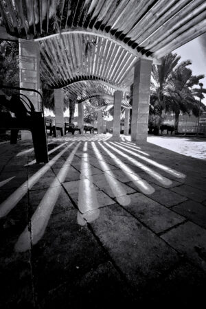 The World In Black And White 6" x 4" Photo Print