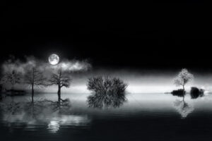 The World In Black And White 6" x 4" Photo Print