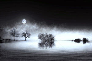 The World In Black And White 6" x 4" Photo Print