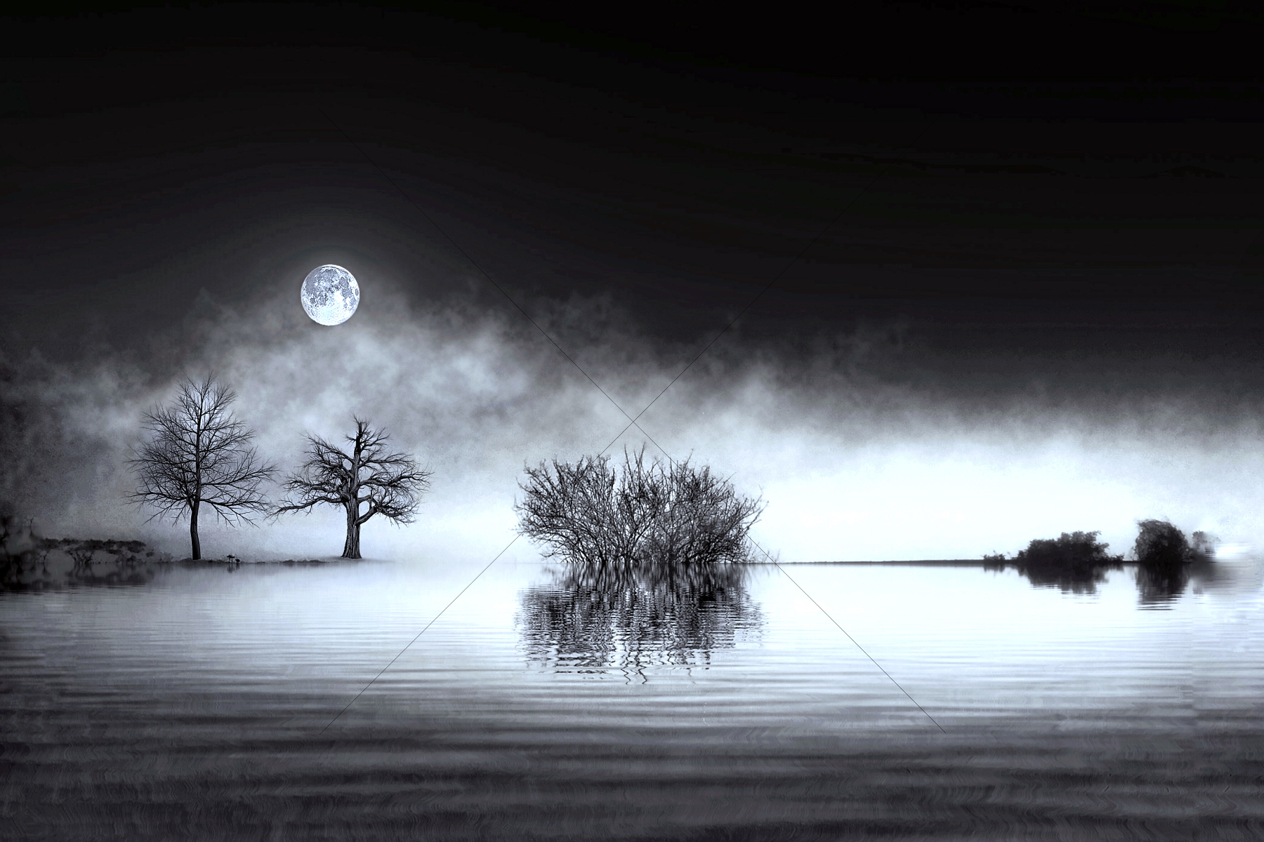 The World In Black And White 6" x 4" Photo Print