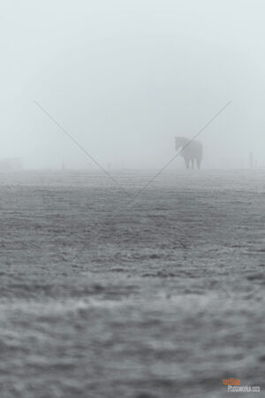 The World In Black And White 6" x 4" Photo Print