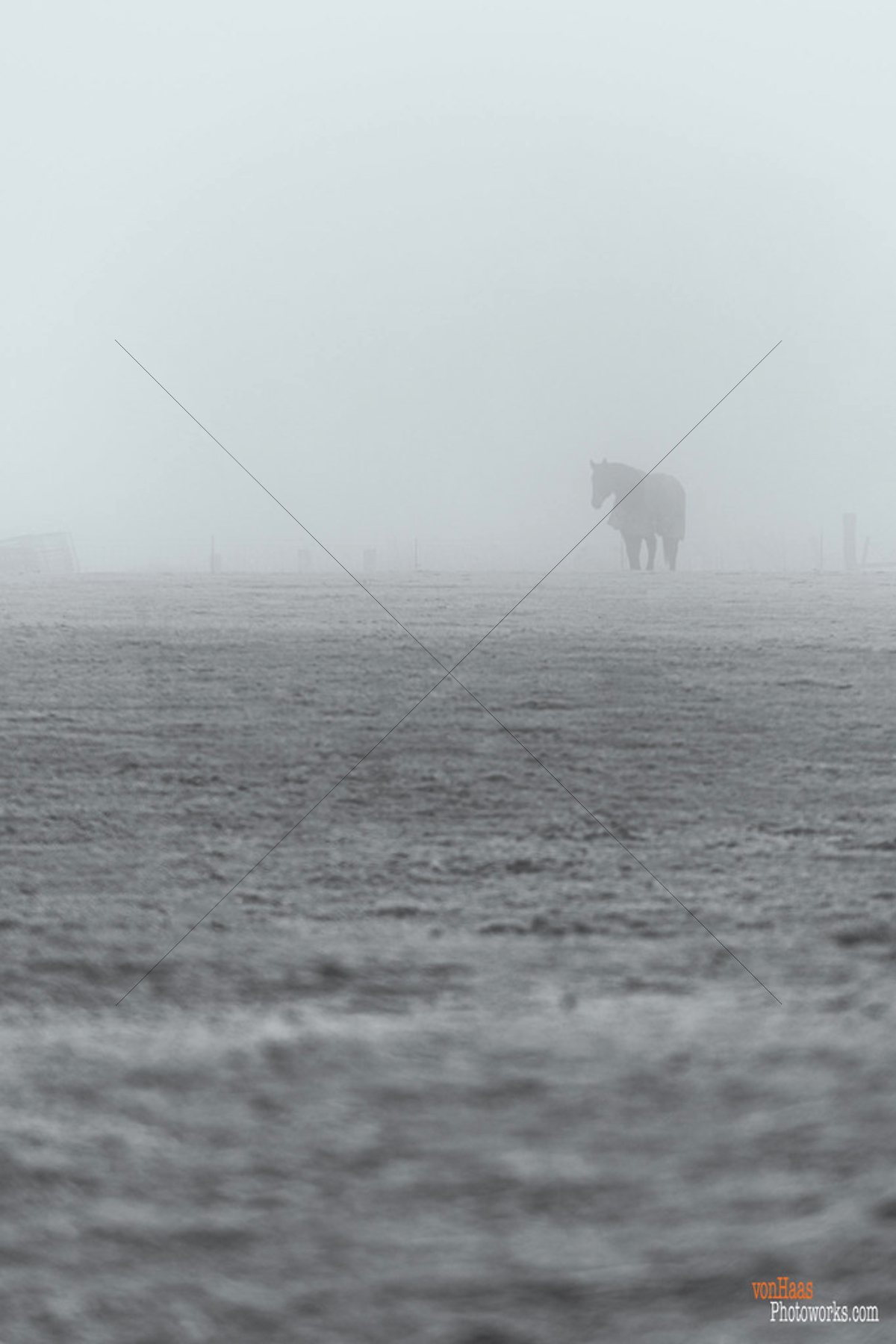 The World In Black And White 6" x 4" Photo Print
