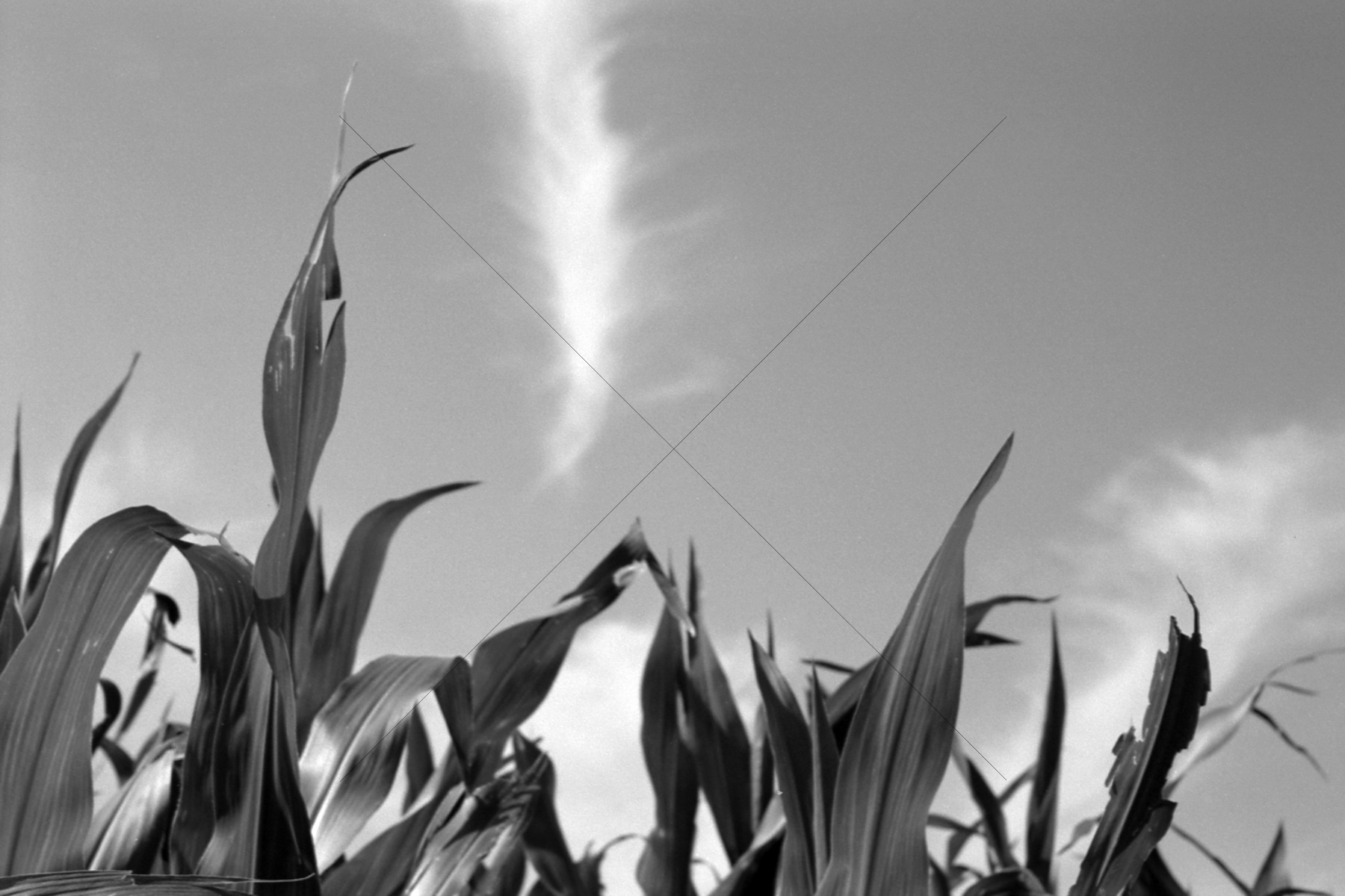 The World In Black And White 6" x 4" Photo Print