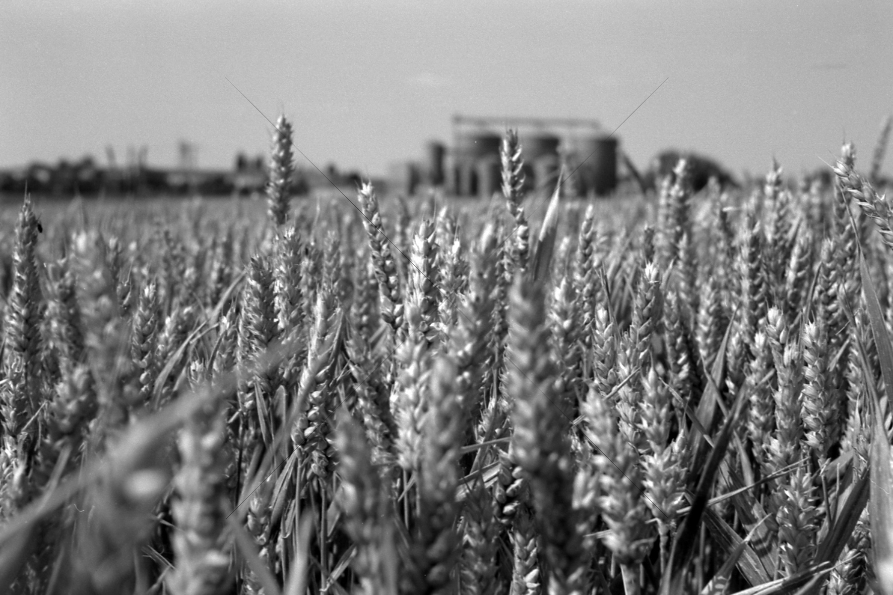 The World In Black And White 6" x 4" Photo Print