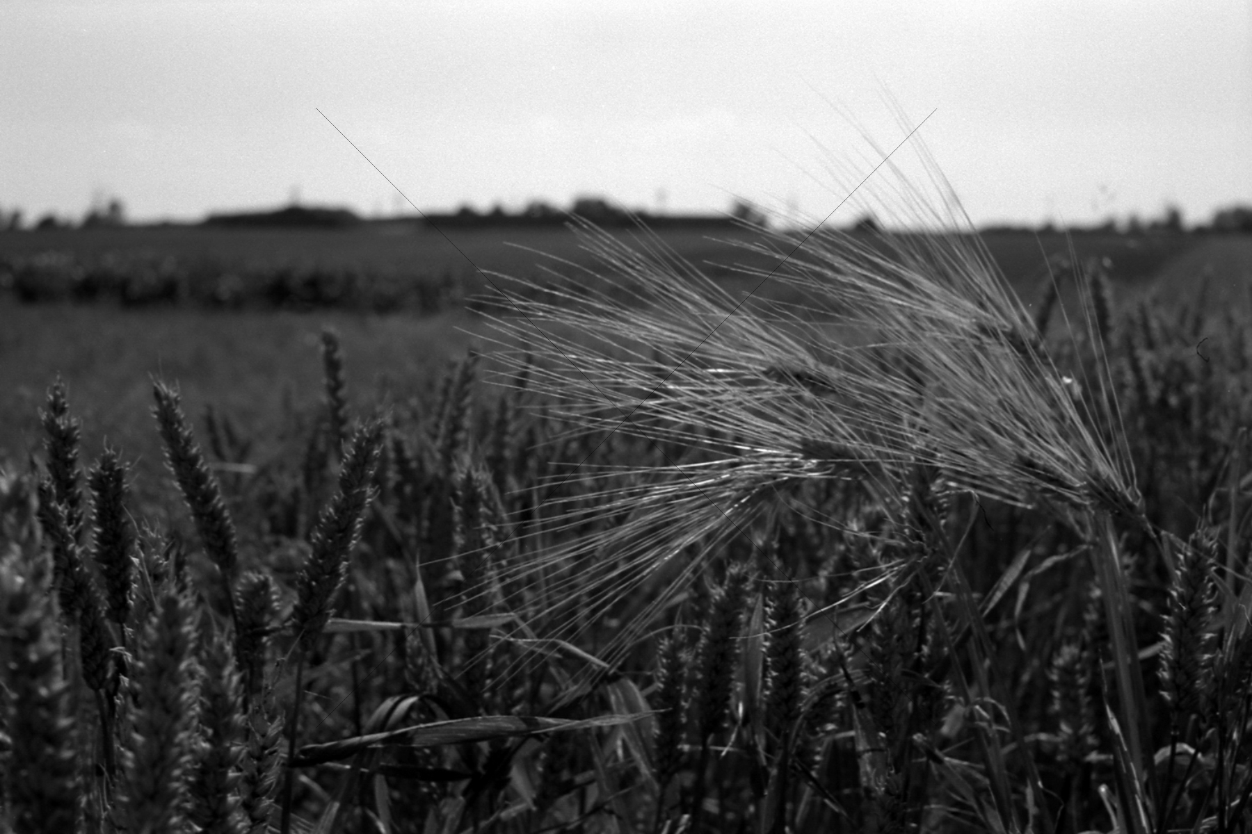 The World In Black And White 6" x 4" Photo Print