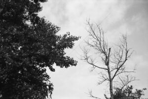 The World In Black And White 6" x 4" Photo Print